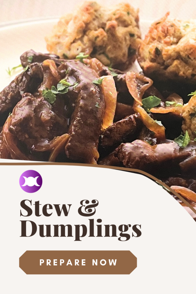 stew and dumplings 11